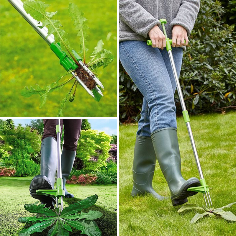 Garden Weed Remover