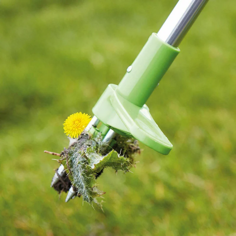 Garden Weed Remover