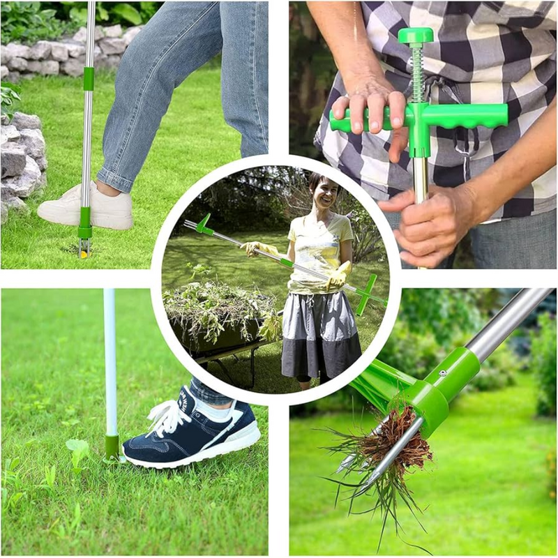 Garden Weed Remover