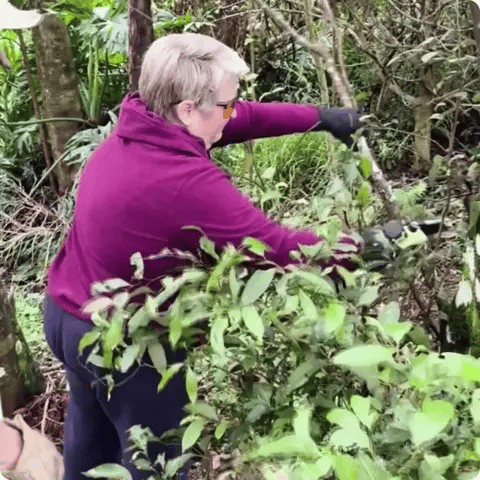 Woman with pruning kit