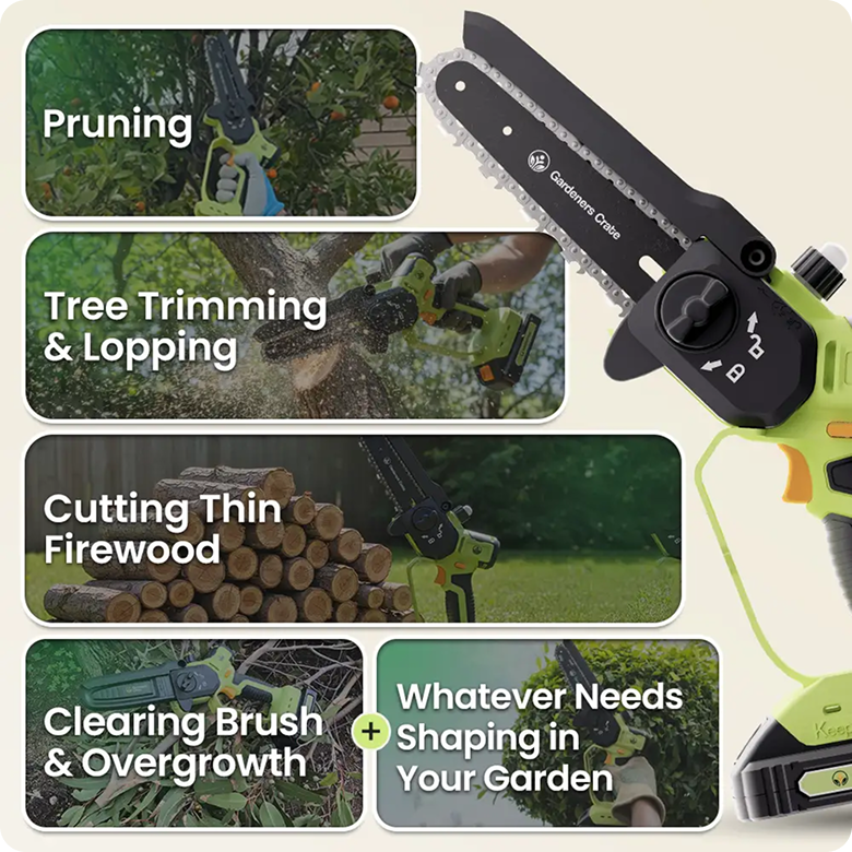 section image mobile